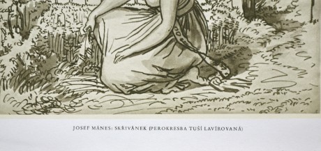 Josef Mánes, Skřivánek, 20,5 x 27,5 cm, venk. 24 x 32cm (3)