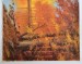 Autor neuveden,Bosco di faggi in autunno-Les buků na podzim, 70x50cm, bílý okraj 0,5cm (2)