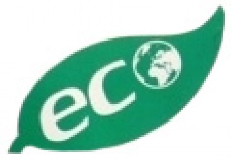 eco-avatar