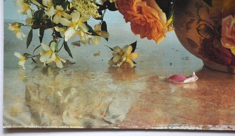 Bouquet of roses, Maximilian Stock-Christel Rosenfeld, 50x40, tl. kartonu 2mm, dole mírně poničeno (2)
