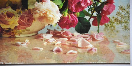 Bouquet of roses, Maximilian Stock-Christel Rosenfeld, 50x40, tl. kartonu 2mm, dole mírně poničeno (4)