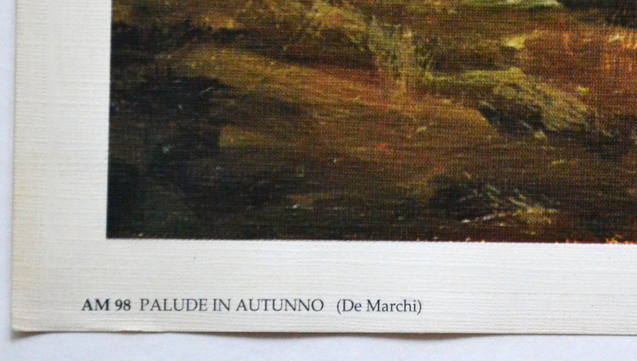 De Marchi, Krajina-Palude in autunno, 74,5 x54,5 cm, bílý okraj 2cm (3)