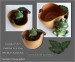 Žabička v hrušce - dekorativní keramika